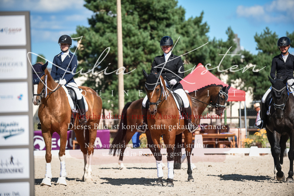 DSC_9716 | Pferde- und Turnierfotografie in Westsachsen. Pferdeportraits, Auftragszeichnungen und intuitive Kunst.