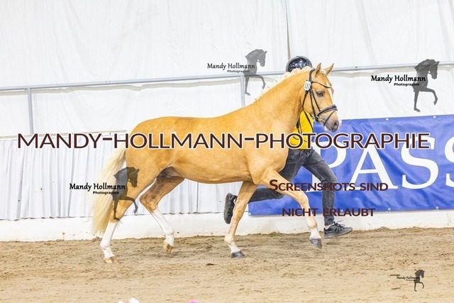 31 (5) | mandyhollmannphotographie