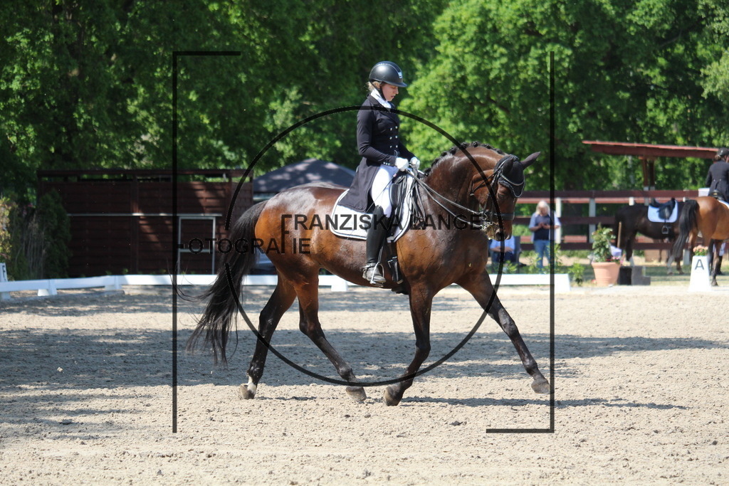 IMG_4925 | franziskalange - Realisiert mit Pictrs.com