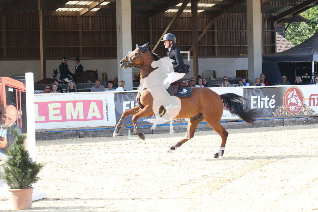 DL2Q8592 | Willkommen bei Brunnmayr - Design & Fotografie – Ihrem Spezialisten für Reitturniere und Pferdeveranstaltungen in Oberösterreich, Salzburg und Bayern! Seit über 17 Jahren sind wir leidenschaftlich dabei.