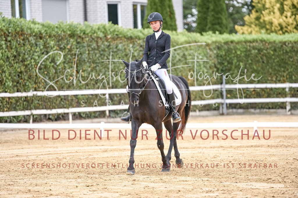 Schugtsche-Aluta25-42.EDressur -178 | Schugtsche Fotografie - Realisiert mit Pictrs.com