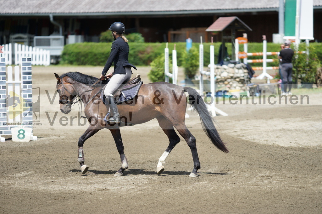 DSC05137 | equestrian-live-com