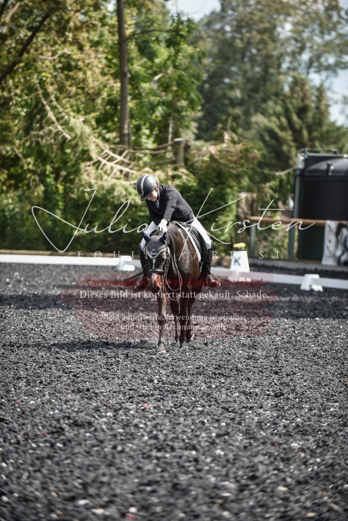 DSC_5122 | Pferde- und Turnierfotografie in Westsachsen. Pferdeportraits, Auftragszeichnungen und intuitive Kunst.