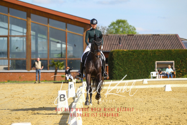 DKP43330 | Turniersportfotografie; Pferdefotografie; Dressurfotografie