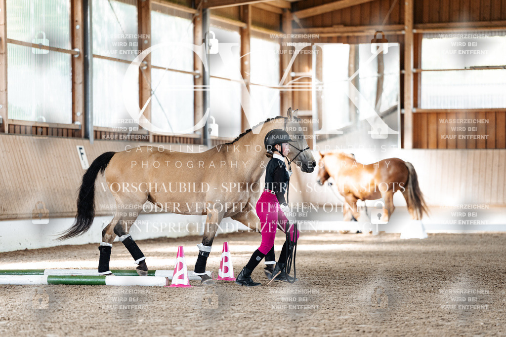 CK905372 | Turnierfotografie Pferdefotografie Trier Rheinland-Pfalz Pferdesport Reitsport Tierfotografie Sportfotografie Pferdevideo Pferdevideografie Equestrianvideography equestrianphotography  - Realisiert mit Pictrs.com