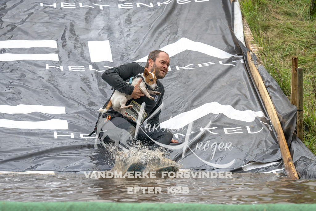 1559_ZZ91876 | kk-dogfotos