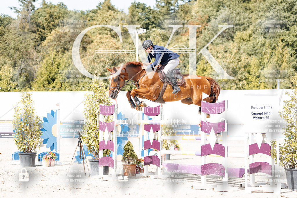 CK905340 | Turnierfotografie Pferdefotografie Trier Rheinland-Pfalz Pferdesport Reitsport Tierfotografie Sportfotografie Pferdevideo Pferdevideografie Equestrianvideography equestrianphotography  - Realisiert mit Pictrs.com