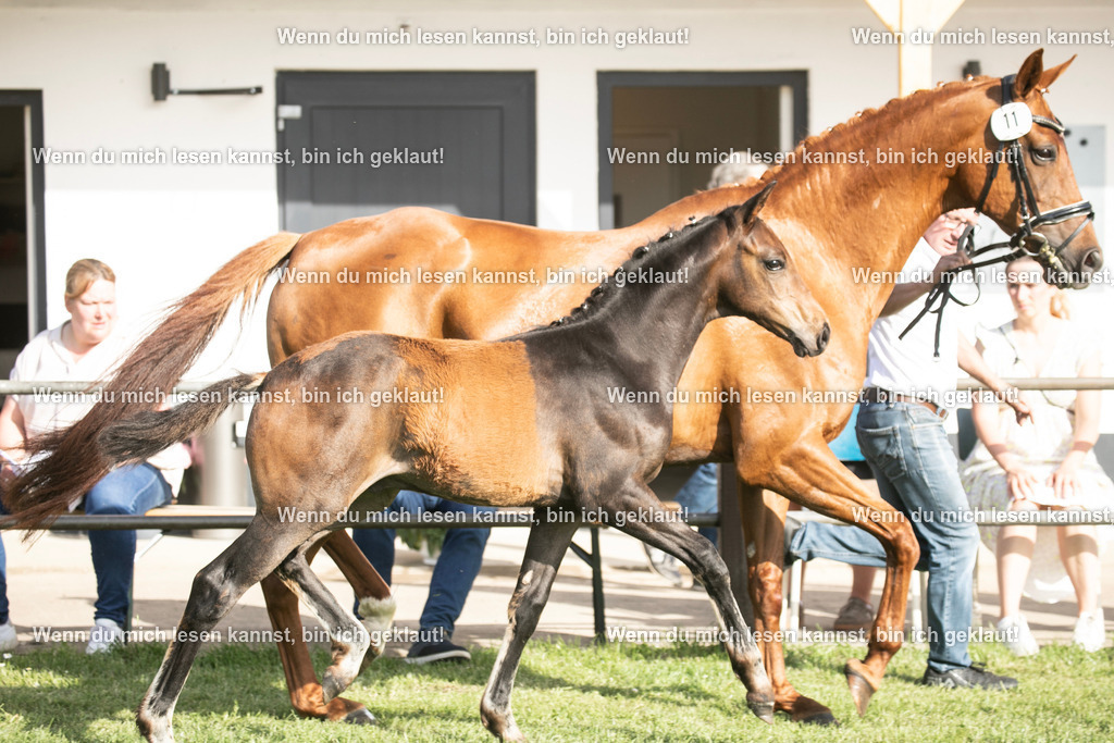 598A7166 | photographylinaismer - Realisiert mit Pictrs.com