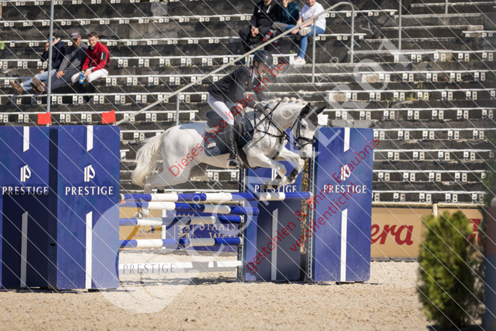 IMG_3862 | Sport-, Event- und Tierfotos in Profiqualität. Einfach auswählen, bestellen und herunterladen. Dein Moment – perfekt festgehalten.