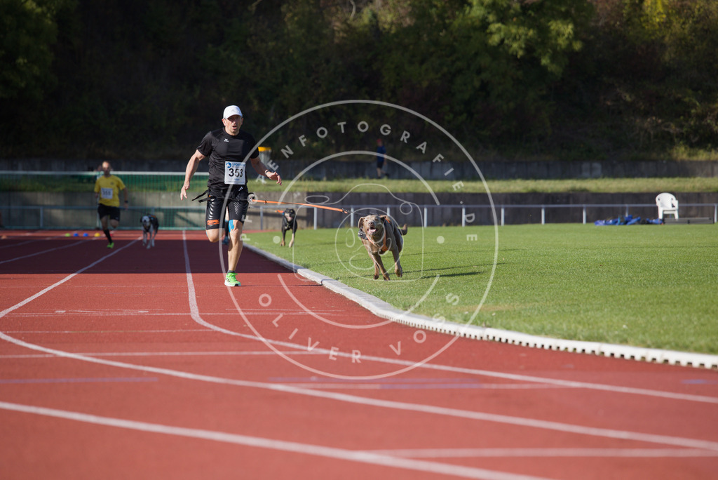 0L8A0126 | Hundefotografie, Tierfotograf, Pfotenfotografie, Fotoshooting Hund, Hunde Portrait, Hundesport, Hundeportraits, Heideshooting, Hunde, Sportfotograf, Hundefotograf, Turnierhundsport, THS,  - Realisiert mit Pictrs.com