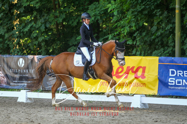 DKP42798 | Turniersportfotografie; Pferdefotografie; Dressurfotografie