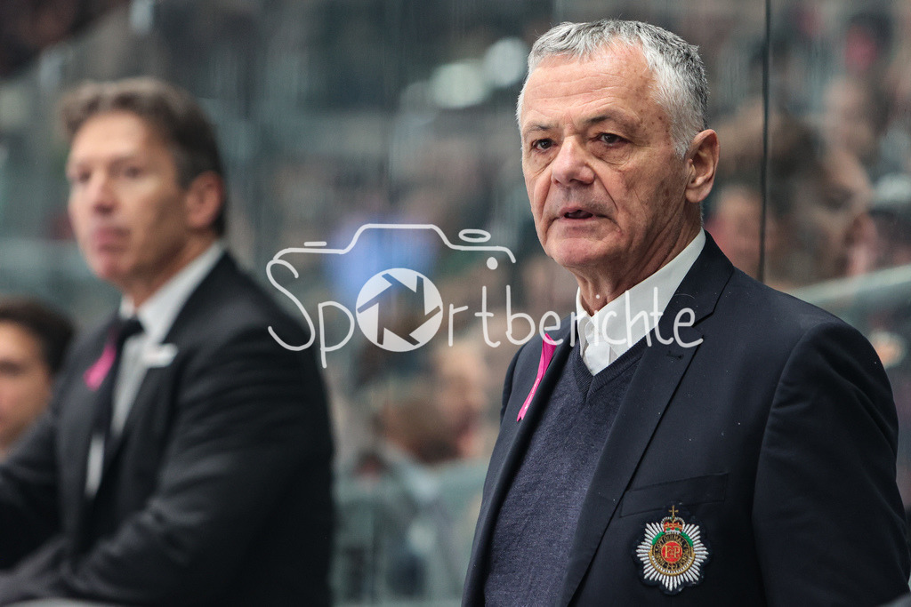 Augsburger Panther - Koelner Haie  | Clement JODOIN in Aktion