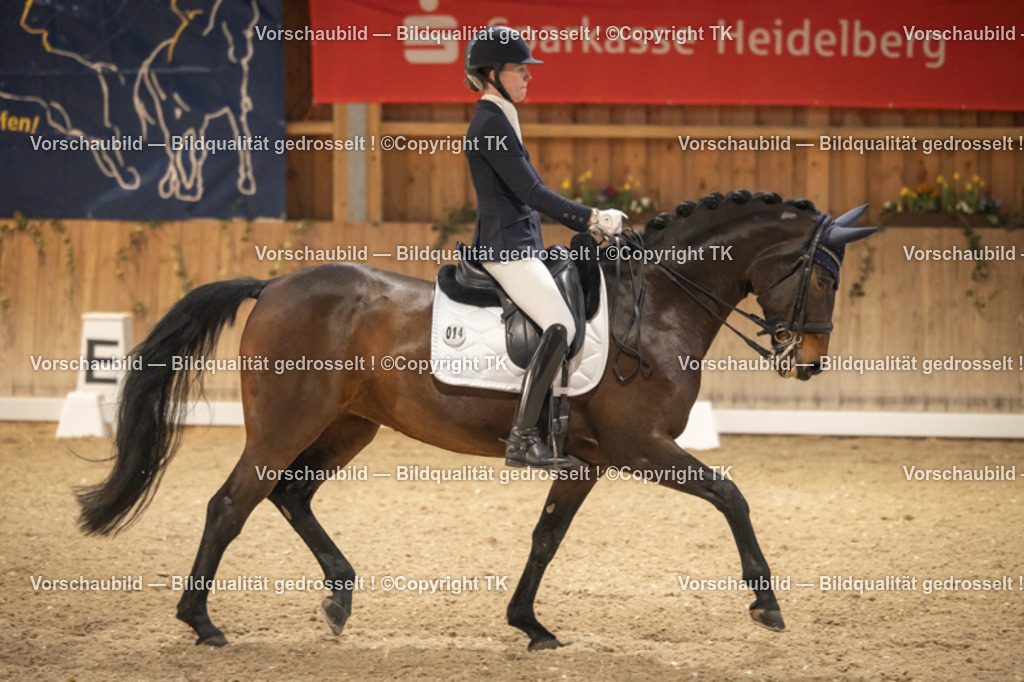 _D5A3671 | Emotionale Pferde- & People-Fotografie rund um Heidelberg, Leimen & Umgebung. Natürliche Fotos von Pferd, Mensch & Familie. Jetzt Termin sichern!