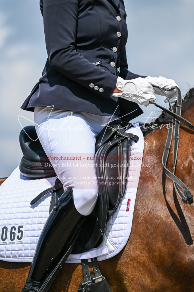 DSC_2693 | Pferde- und Turnierfotografie in Westsachsen. Pferdeportraits, Auftragszeichnungen und intuitive Kunst.
