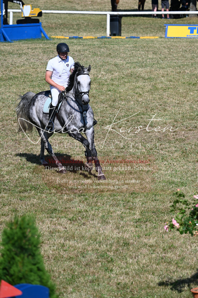 DSC_1862 | Pferde- und Turnierfotografie in Westsachsen. Pferdeportraits, Auftragszeichnungen und intuitive Kunst.