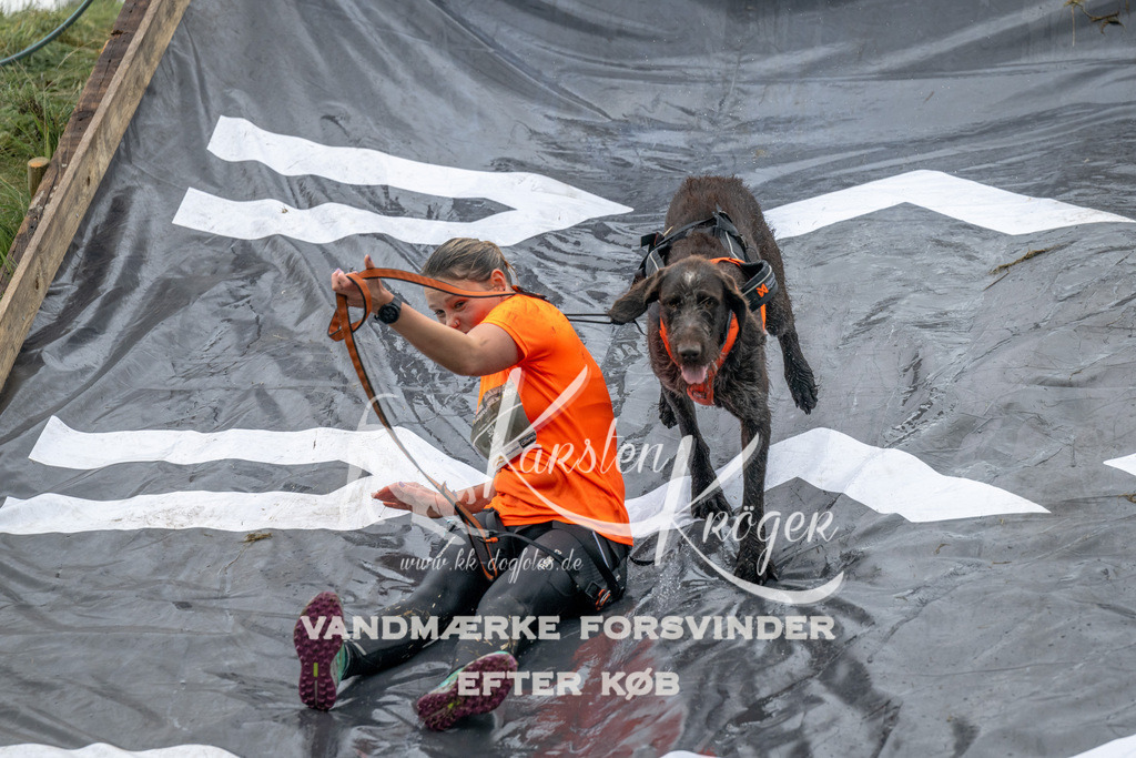 1221_ZZ94723 | kk-dogfotos