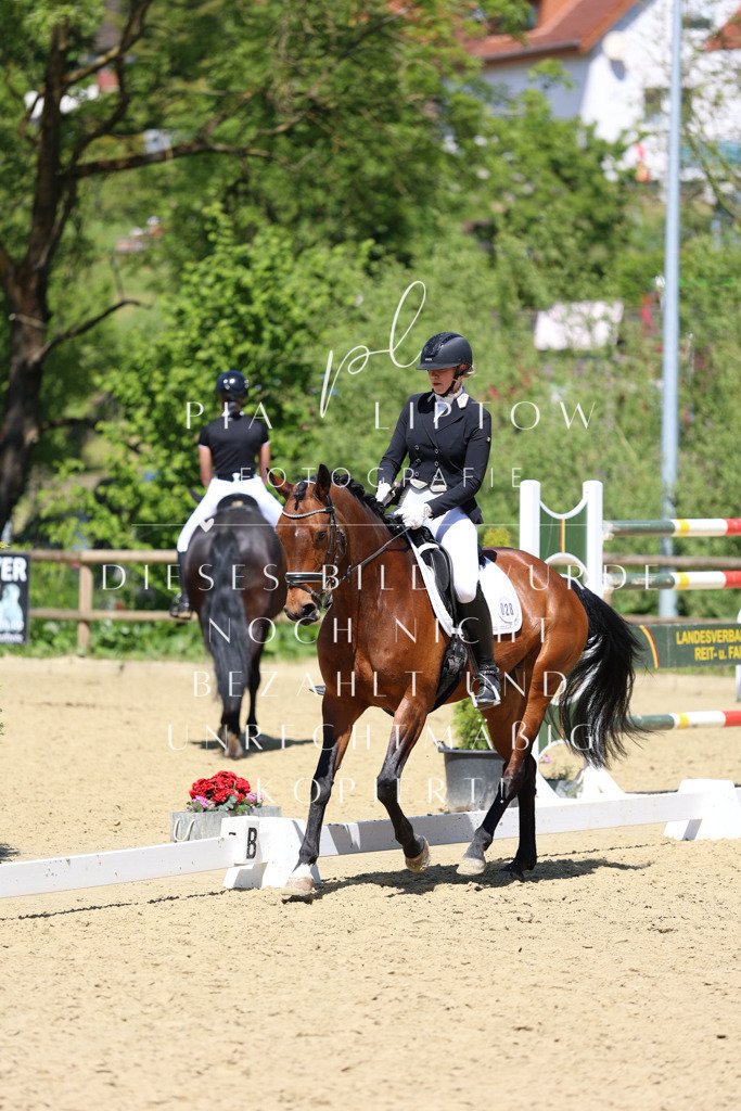 IMGS2281 | pl-fotografie