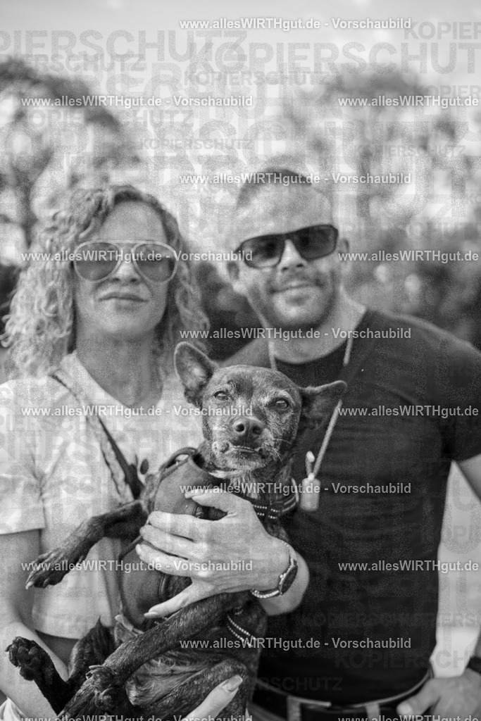 Hundeschwimmen_Volksbad_2026-allesWIRTHgut_Tierfotografie-2609061528-7R501556 | Professionelle Tierfotografie in Mönchengladbach von Daniel Wirth (allesWIRTHgut). Liebevolle & natürliche Bilder von Hunden & Katzen für unvergessliche Erinnerungen.