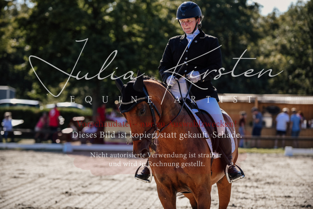 DSC_0360 | Pferde- und Turnierfotografie in Westsachsen. Pferdeportraits, Auftragszeichnungen und intuitive Kunst.