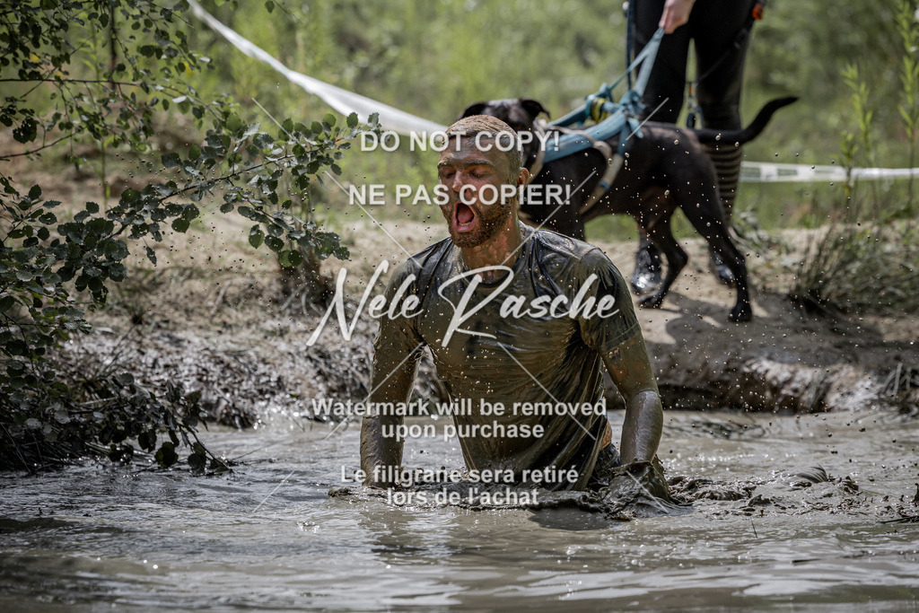 nelerasche_so1145-1230_263 | nelerasche