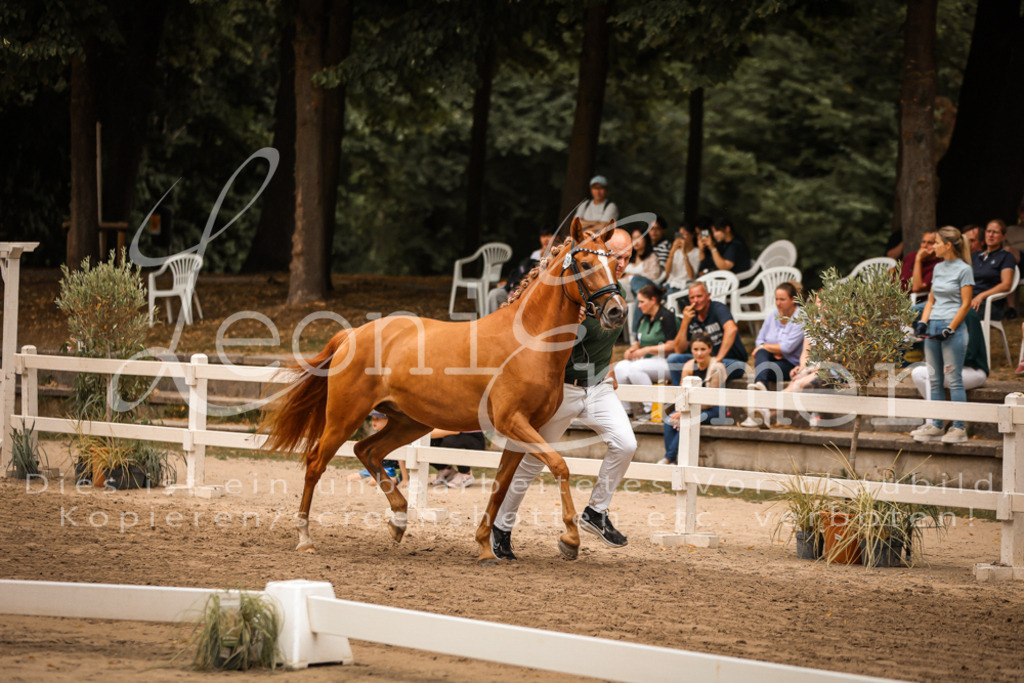 10.-12.Elite00075 | Leoni Ertmer Photography - Realisiert mit Pictrs.com