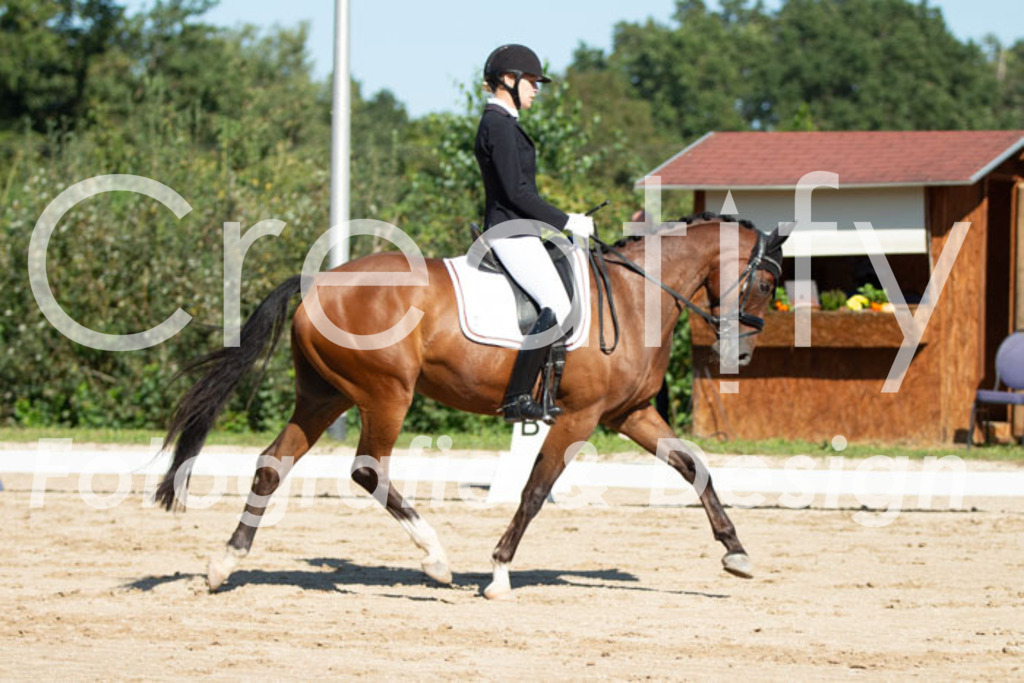 IMG_5064 | Creatify Fotografie