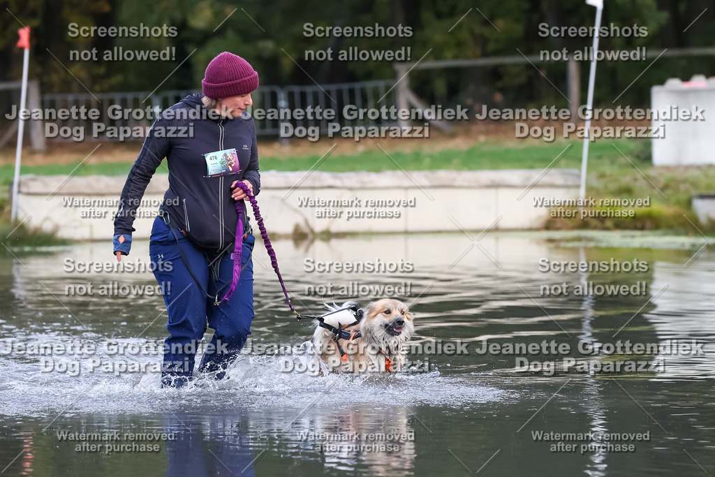 Dog Paparazzi - Strongdog 10-25-6370 | Dog Paparazzi Jeanette Grottendiek Fotografie & Videografie - Realisiert mit Pictrs.com