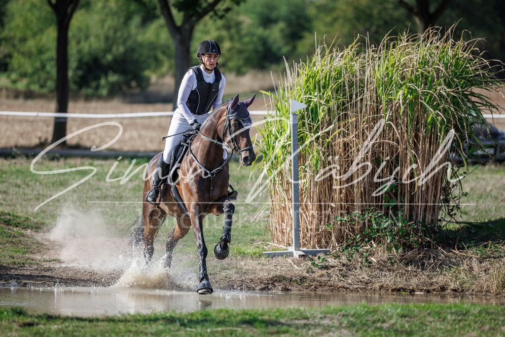 20260905-_3LI0257 | Tierfotografie Pferde, Hunde, Katzen, Haustiere.
Turnierfotografie Reitturniere, Reiten, Springreiten, Dressur in Hanau, dem Main-Kinzig-Kreis und dem Rhein-Main- Gebiet um Frankfurt