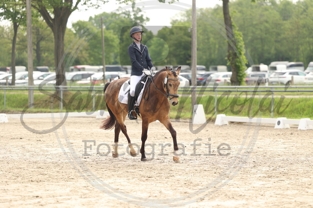 994A6311 | sabrinanicolaifotografie - Realisiert mit Pictrs.com