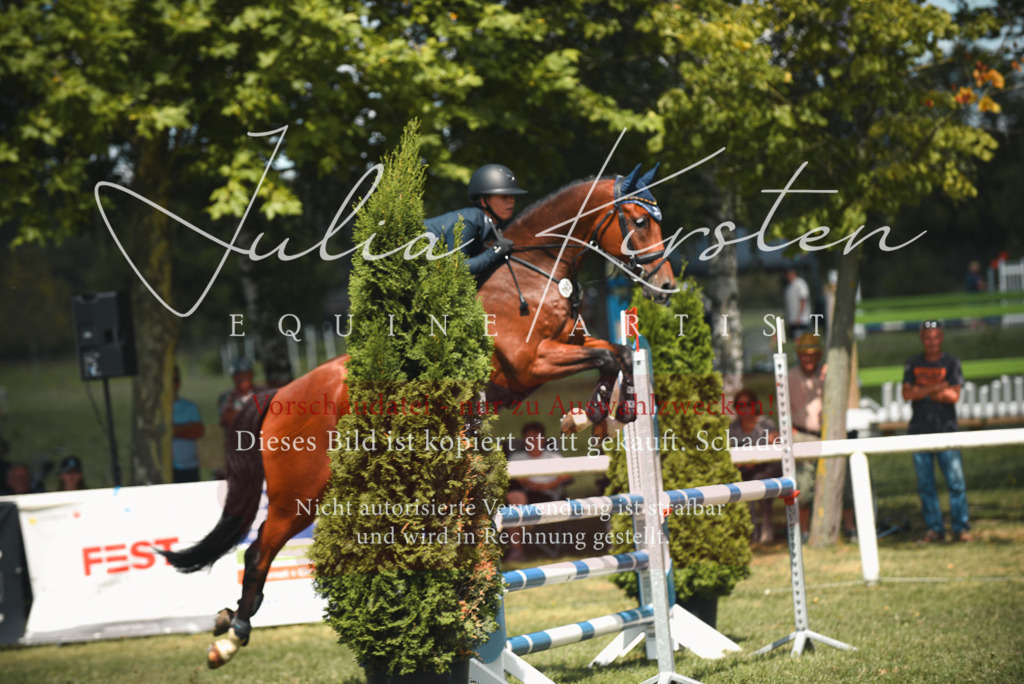 DSC_6464 | Pferde- und Turnierfotografie in Westsachsen. Pferdeportraits, Auftragszeichnungen und intuitive Kunst.