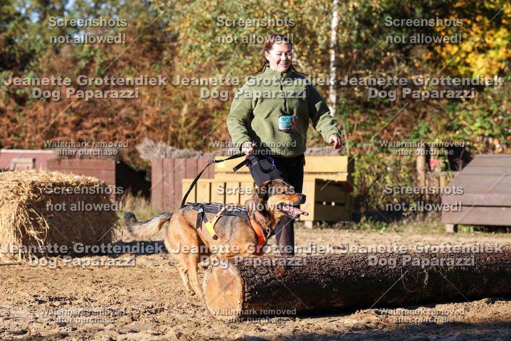 Dog Paparazzi - Strongdog 10-25-1373 | Dog Paparazzi Jeanette Grottendiek Fotografie & Videografie - Realisiert mit Pictrs.com