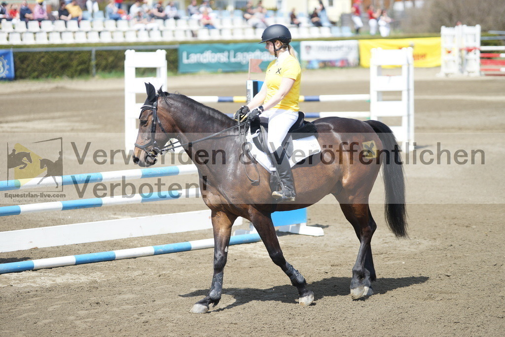 DSC02802 | equestrian-live-com