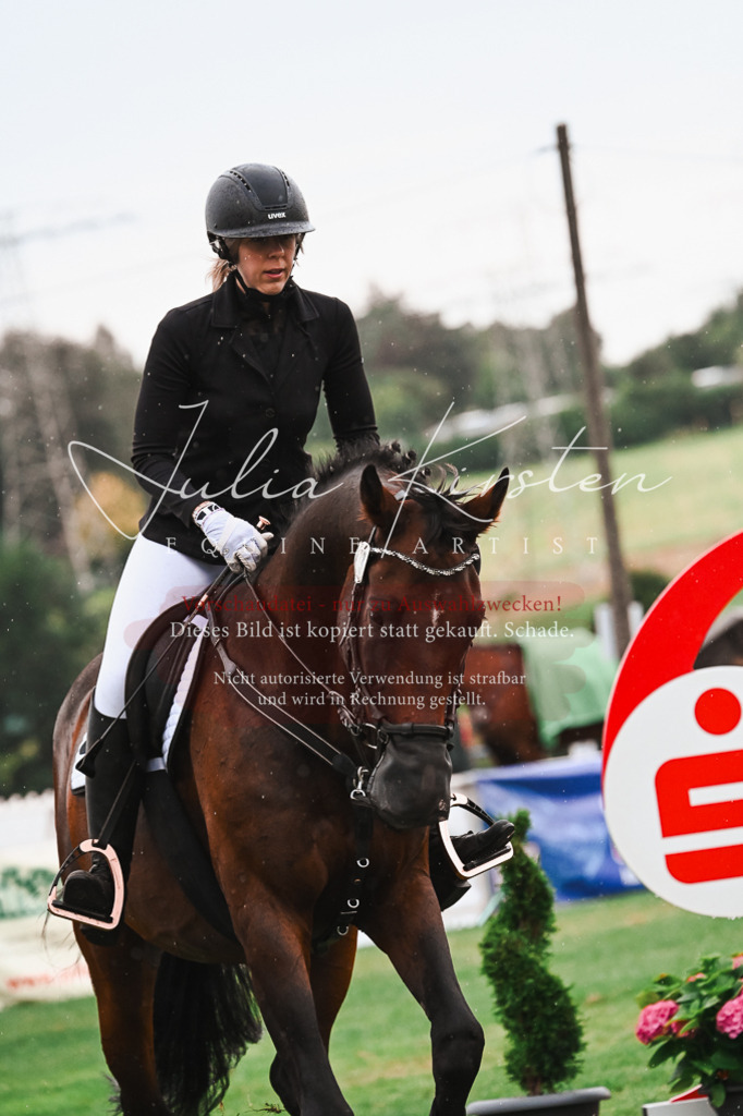 DSC_6570 | Pferde- und Turnierfotografie in Westsachsen. Pferdeportraits, Auftragszeichnungen und intuitive Kunst.