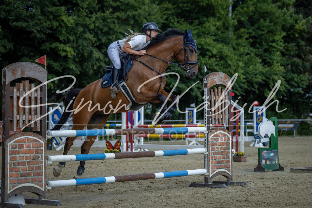 20260704-_3LI2140 | Tierfotografie Pferde, Hunde, Katzen, Haustiere.
Turnierfotografie Reitturniere, Reiten, Springreiten, Dressur in Hanau, dem Main-Kinzig-Kreis und dem Rhein-Main- Gebiet um Frankfurt
