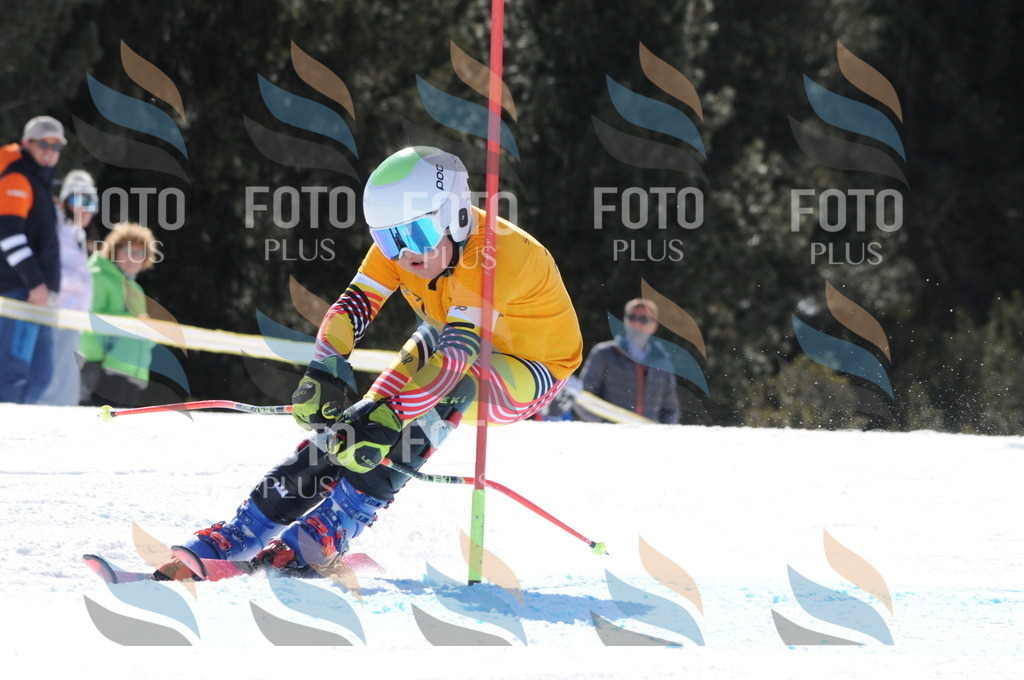 C8973 | holidayphoto