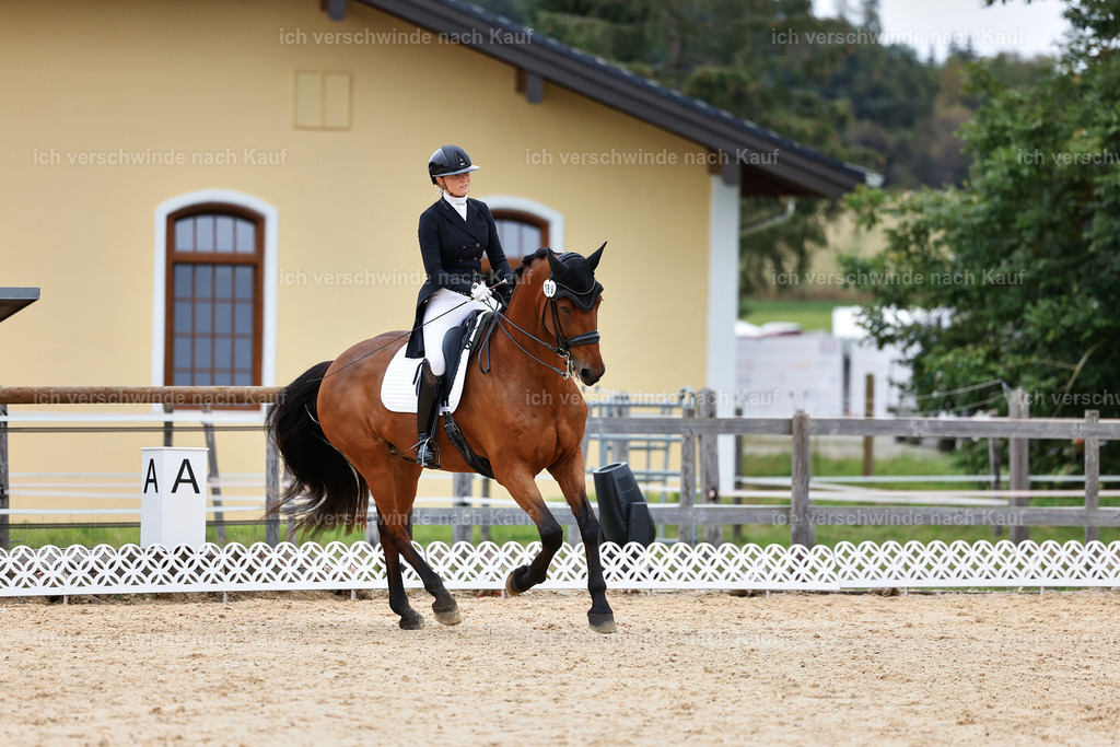 11-189-Dressur S___-StoibPH-915 | working equitationturnier fotograf videograf stoibphotography marixx film working equitation deutschland reitsport turnierfotografie eventfotografie equestrian events
