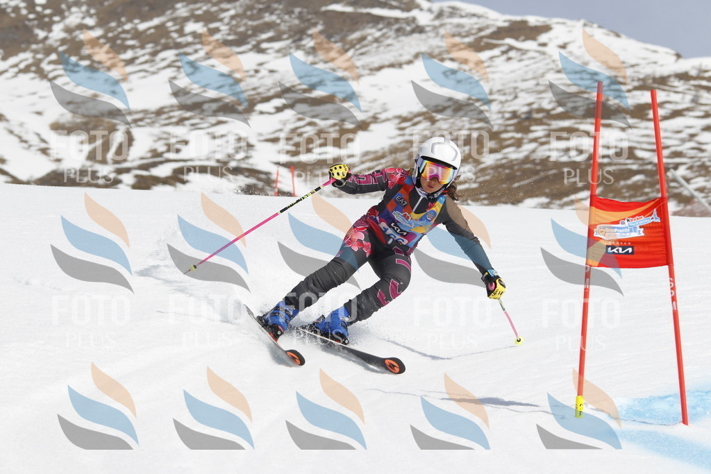 _U3G1468 | holidayphoto