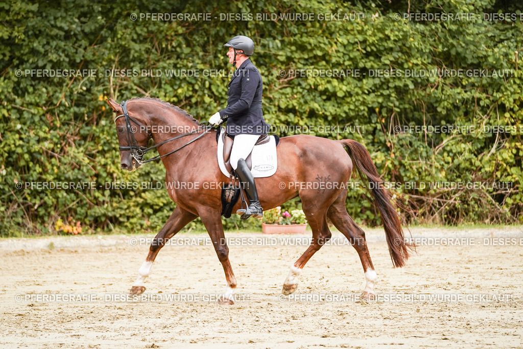 DSC03646 | Pferdegrafie