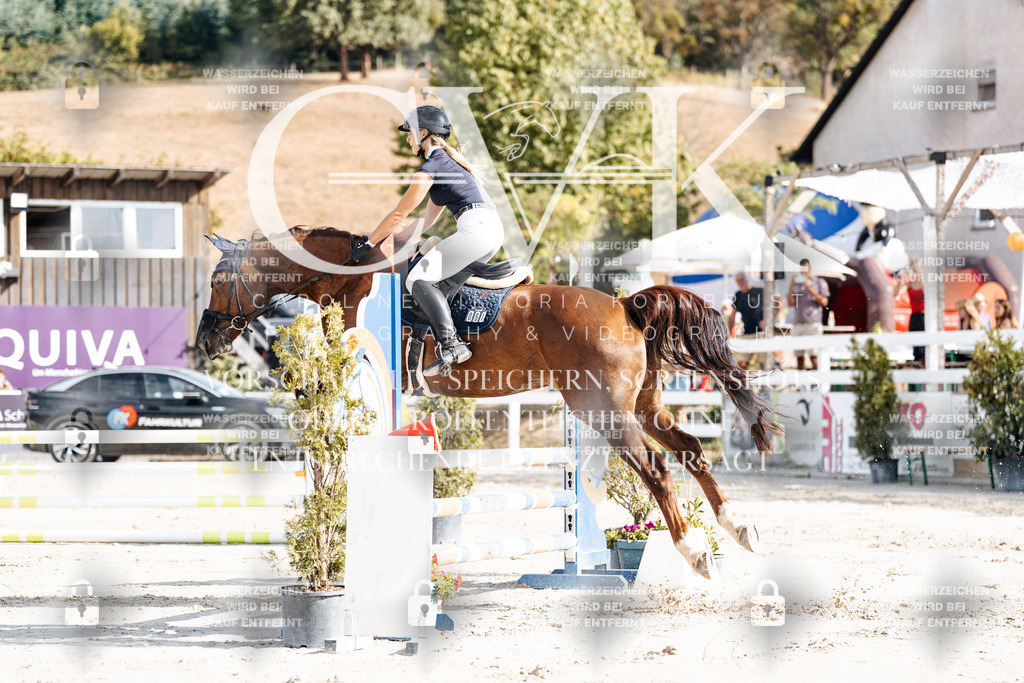CK909115 | Turnierfotografie Pferdefotografie Trier Rheinland-Pfalz Pferdesport Reitsport Tierfotografie Sportfotografie Pferdevideo Pferdevideografie Equestrianvideography equestrianphotography  - Realisiert mit Pictrs.com
