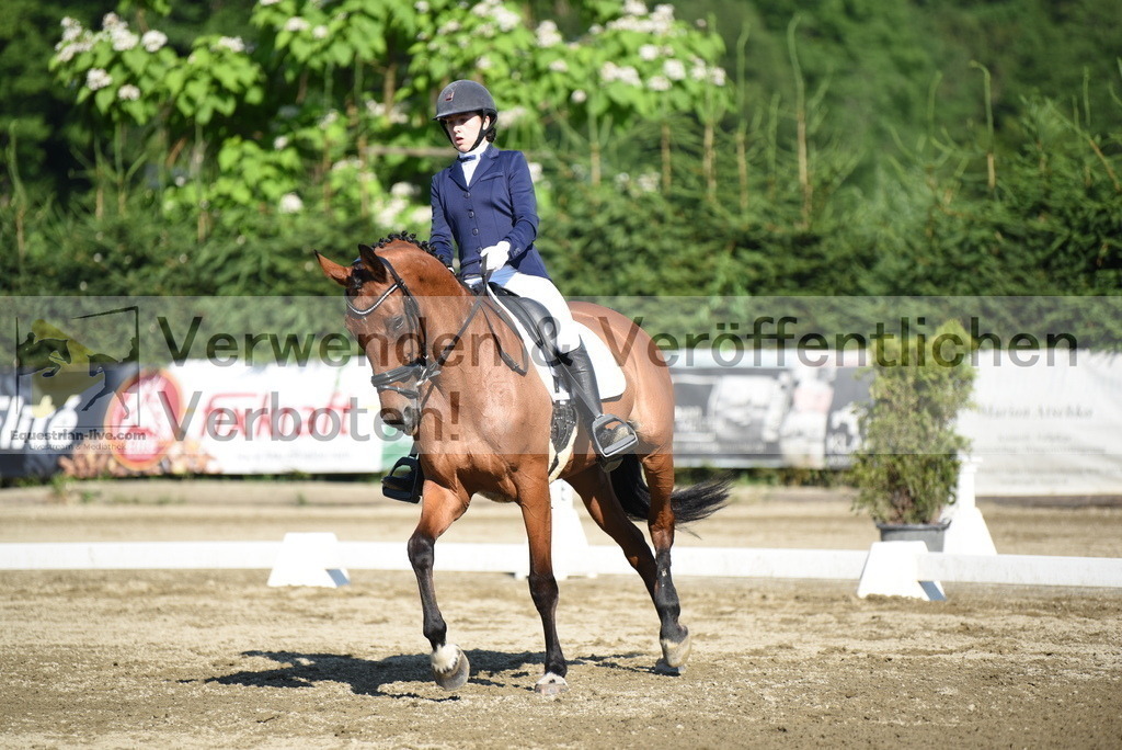 DSC_7206 | equestrian-live-com