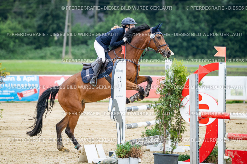 DSC03736 | Pferdegrafie