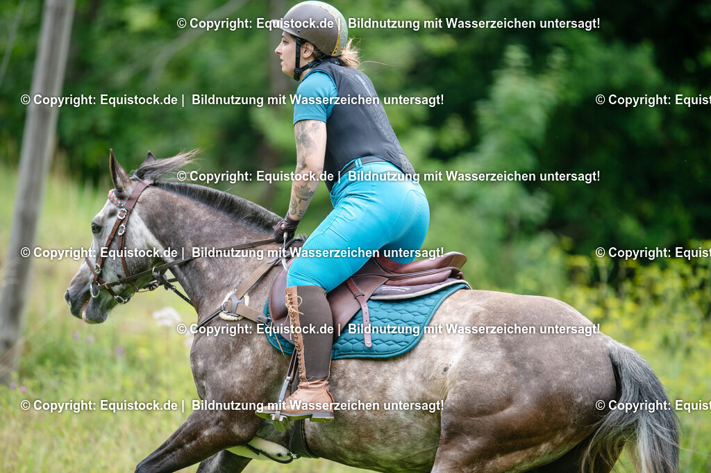 20250725_Vielseitigkeitslehrgang-Marbach_0276 | Foto: Thomas Hartig