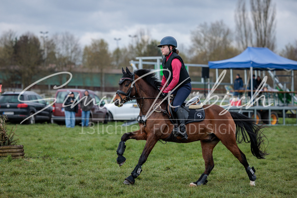 20260329-_3LI4565 | Tierfotografie Pferde, Hunde, Katzen, Haustiere.
Turnierfotografie Reitturniere, Reiten, Springreiten, Dressur in Hanau, dem Main-Kinzig-Kreis und dem Rhein-Main- Gebiet um Frankfurt
