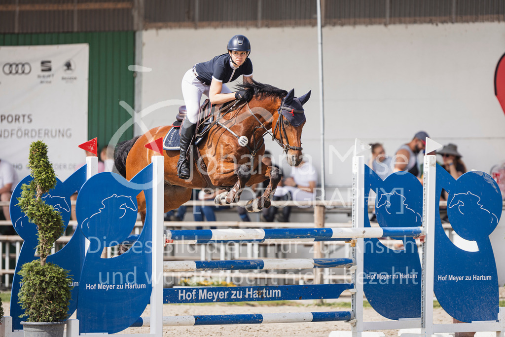 250629_PfSpTa_Stil-L2-340 | Deine schönsten Turniermomente als professionelle Fotos! Entdecke hochwertige Pferdesport-Fotografie im Online-Shop. Jetzt Fotos finden & bestellen!