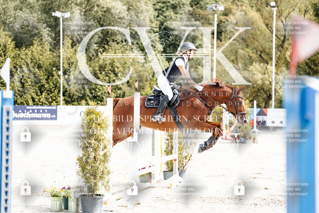 CK906381 | Turnierfotografie Pferdefotografie Trier Rheinland-Pfalz Pferdesport Reitsport Tierfotografie Sportfotografie Pferdevideo Pferdevideografie Equestrianvideography equestrianphotography  - Realisiert mit Pictrs.com