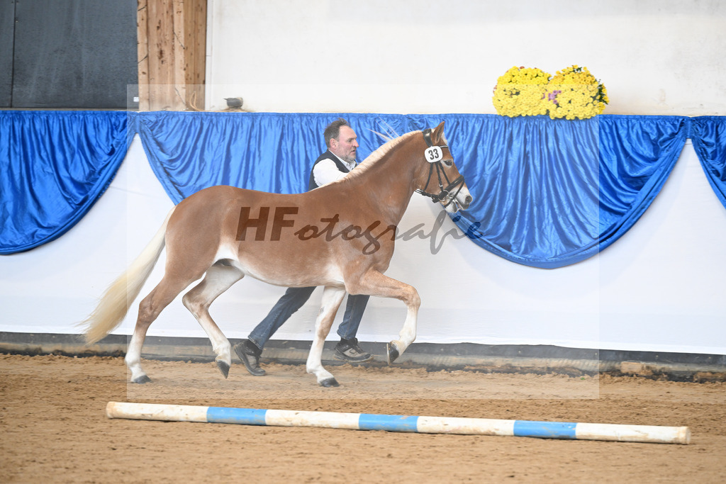 Kat-Nr. 33 Nokiano B v. Novastar_Bleicher_48251155 | hf-fotografie - Realisiert mit Pictrs.com