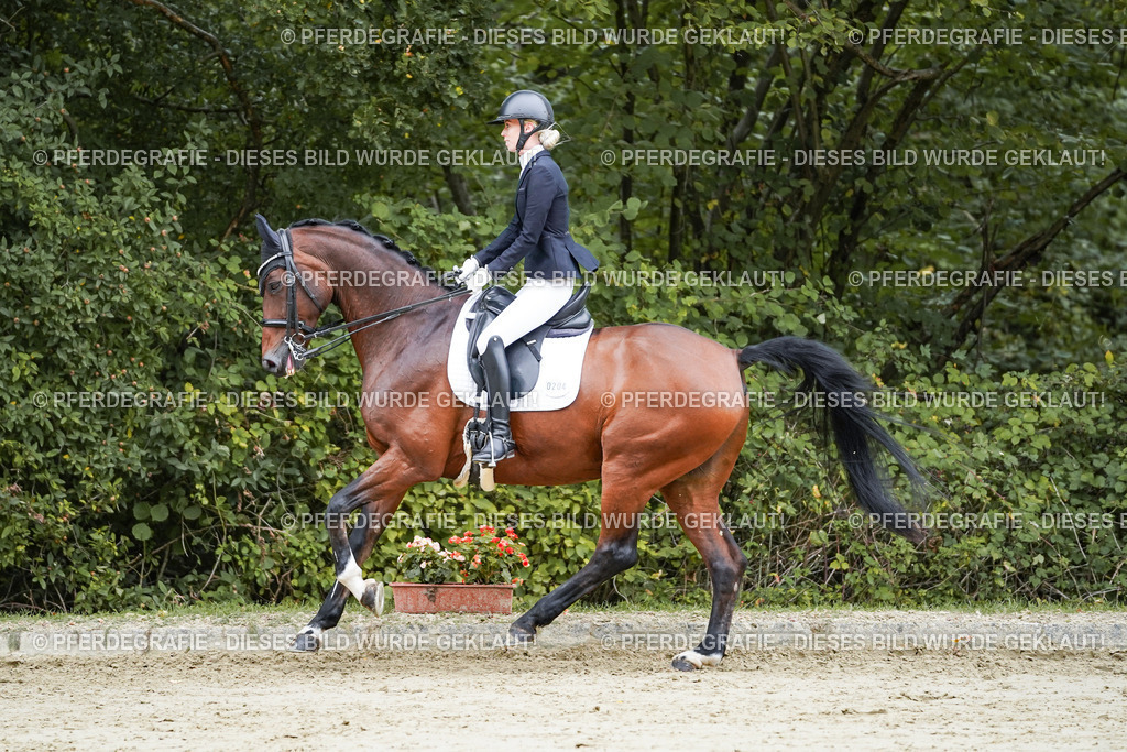 DSC09285 | Pferdegrafie