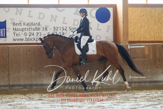 DKP43151 | Turnierfotos kaufen im Webshop von Daniel Kuhl Photography – entdecke professionelle Reitsportfotos aus Turnieren & Events. Hochwertige Turnierbilder online bestellen & sichern. Jetzt Fotos von Reitsportturnieren kaufen!