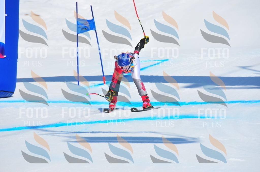 DSC_4656 | holidayphoto