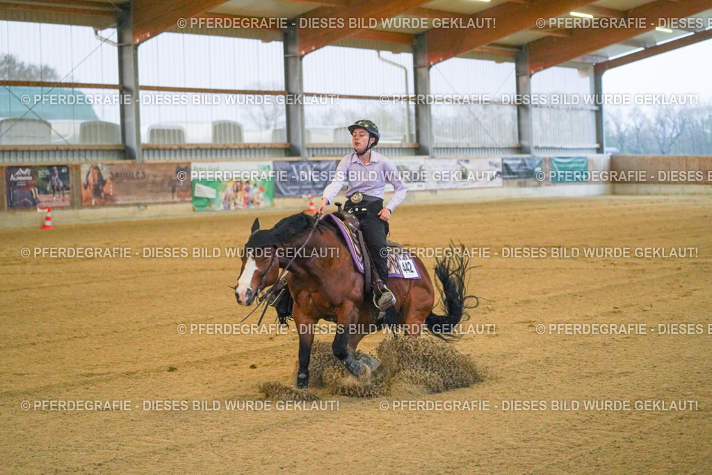 DSC09426 | Pferdegrafie